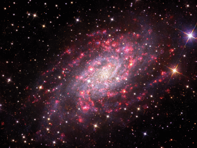 NGC2403 and NGC2404 in H-alpha and continuum light (final version)