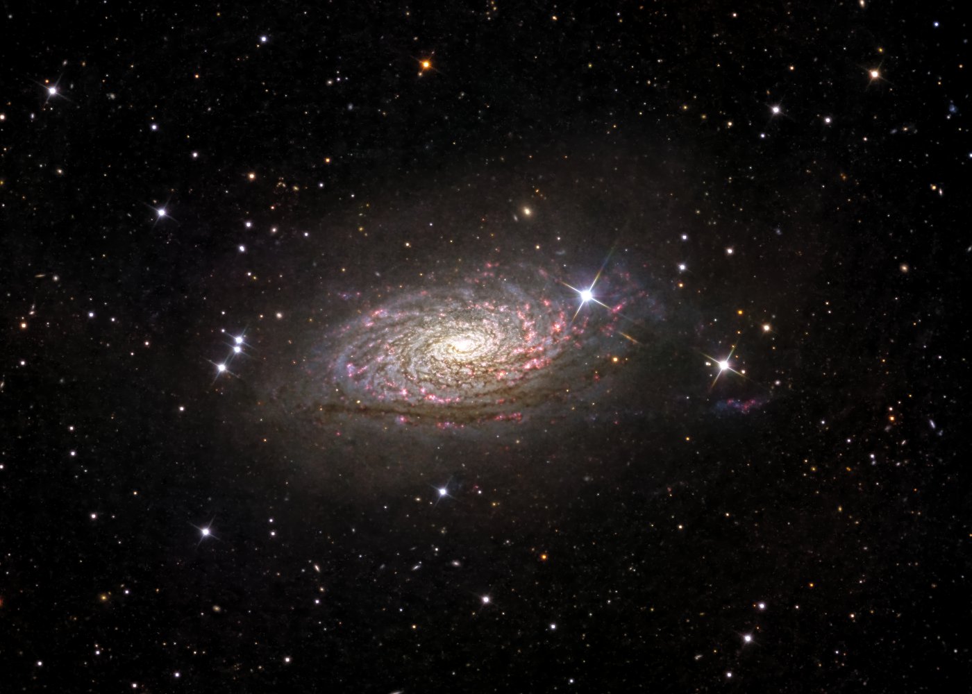 M63 in H-alpha and continuum light