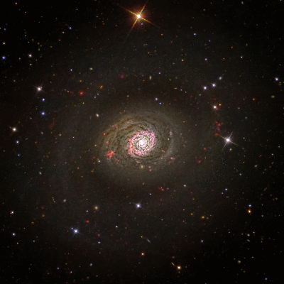 M94 in H-alpha and continuum light (final version)
