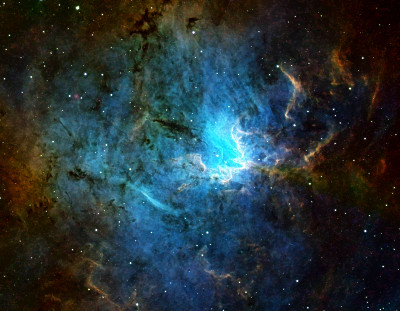 SH2-206 (NGC 1491)